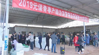 元謀蔬菜種業(yè)博覽會 拓展交流打造綠色食品牌，文化藝術交流活動增添新活力